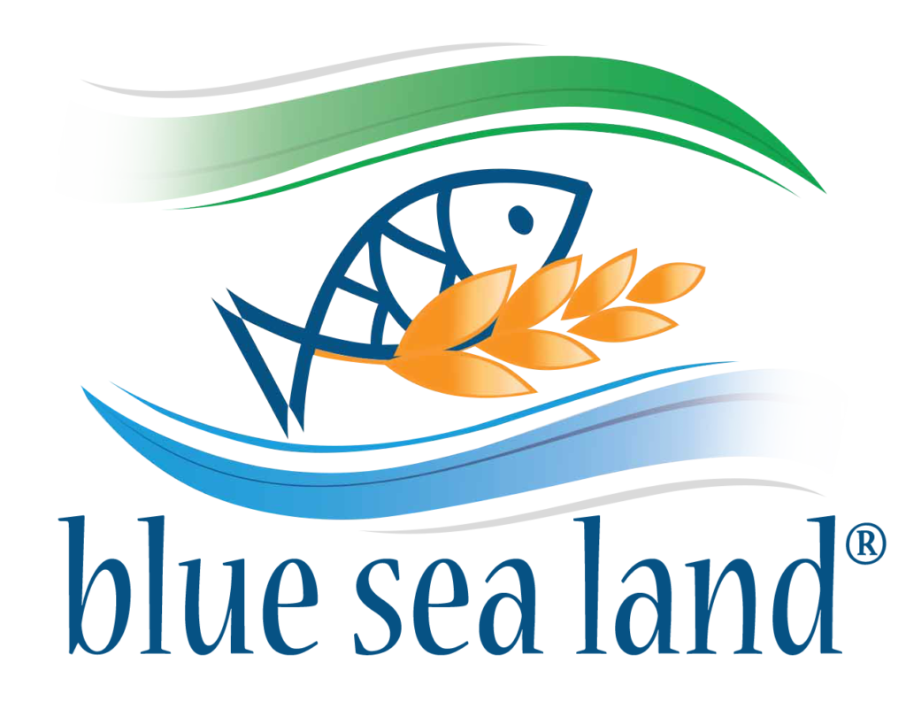 blue sea land